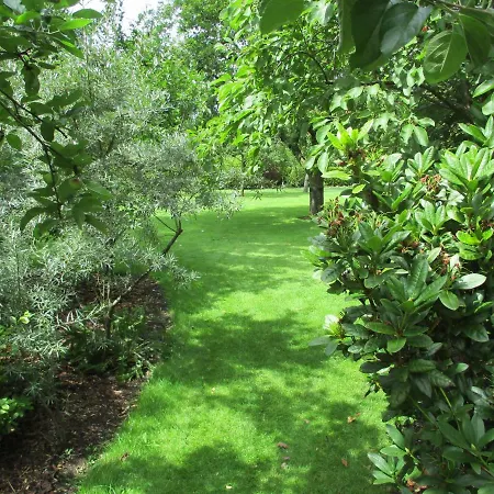 Trientje Appartement *